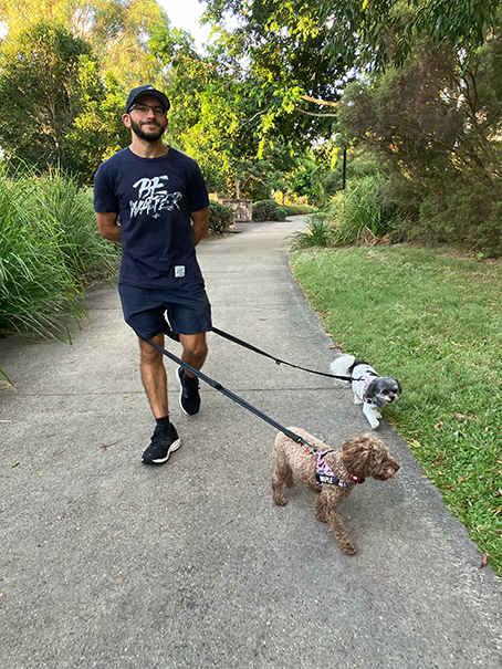 walking with dogs